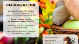 Mostra micologica a Este: domenica 5 ottobre 2025