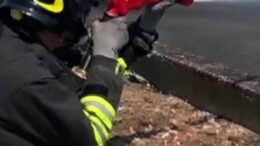 Auto a grande velocità si ribalta nel Trevigiano: un morto e un ferito