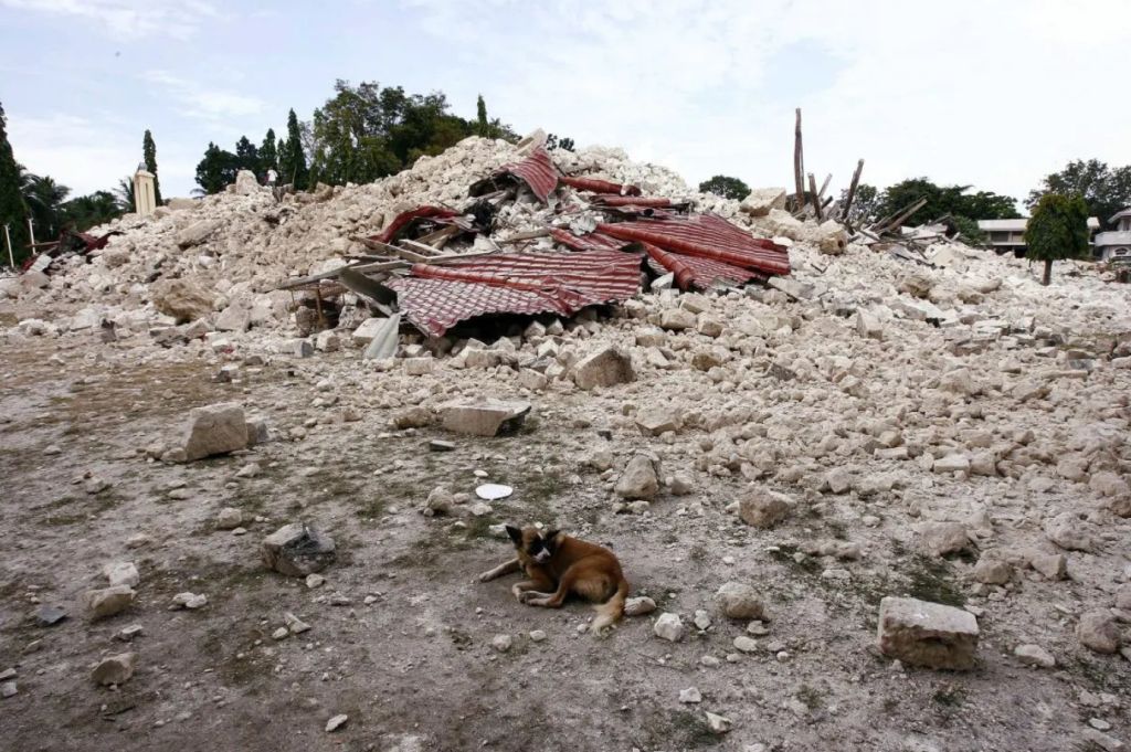 Violento terremoto nelle Filippine, almeno 69 morti. Decine i feriti Violento terremoto nelle Filippine, almeno 69 morti. Decine i feriti