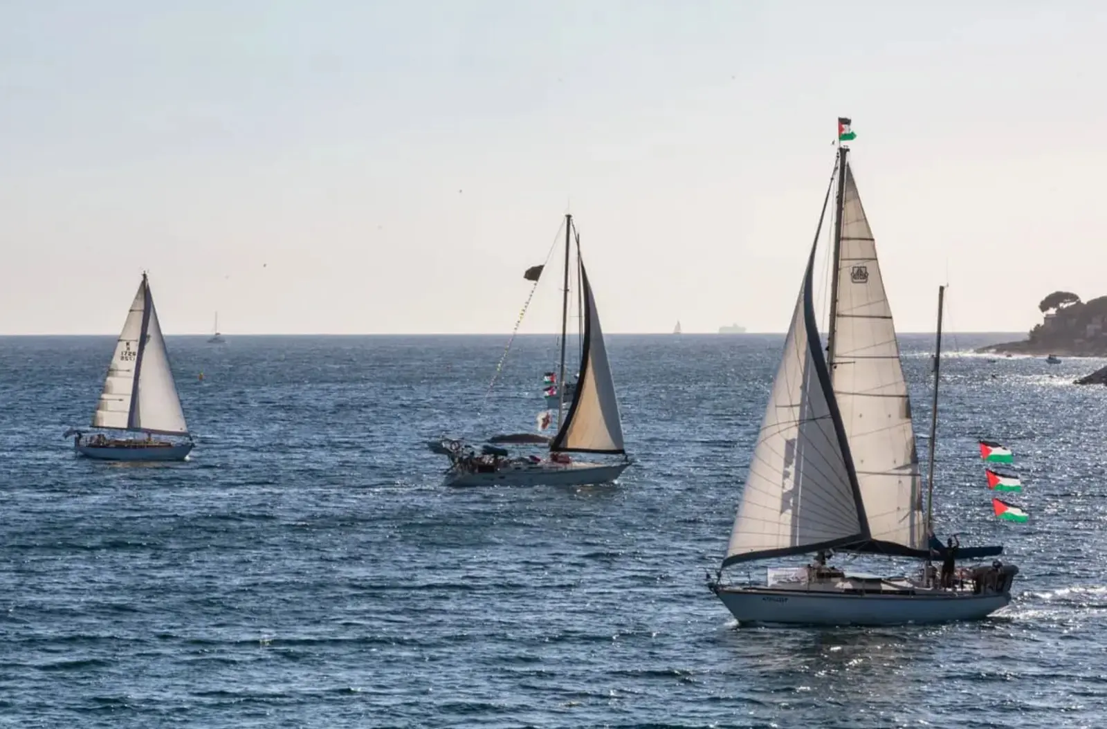 Flotilla, liberati i quattro parlamentari italiani Flotilla, liberati i quattro parlamentari italiani