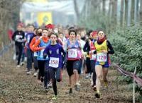 CROSS PARCO MORANDI: ASSINDUSTRIA SPORT IN FORZE AL DEBUTTO DELLE CAMPESTRI