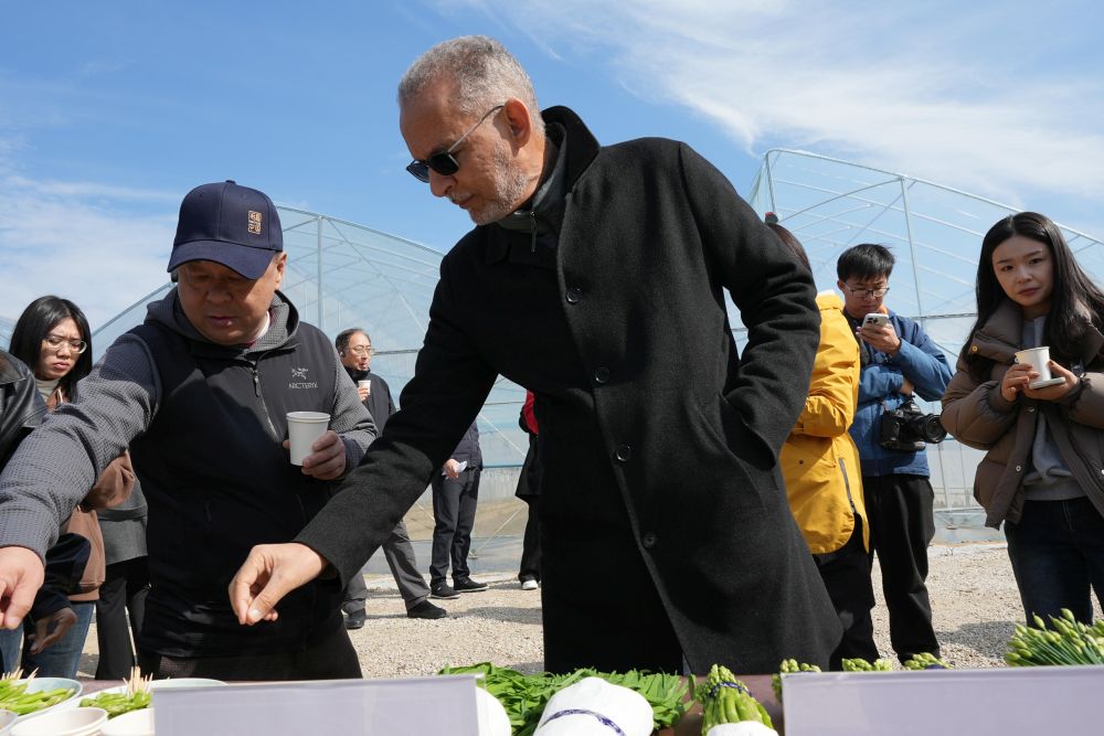 Cina, funzionari Fao elogiano rivitalizzazione rurale del Jiangxi Cina, funzionari Fao elogiano rivitalizzazione rurale del Jiangxi