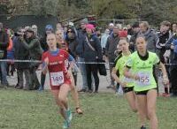 UNA DOMENICA A TUTTO CROSS: ASSINDUSTRIA SPORT TRA CINQUE MULINI E PIOMBINO DESE