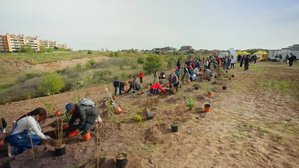 Tim pianta 400 nuovi alberi a Roma per migliorare l’ambiente urbano Tim pianta 400 nuovi alberi a Roma per migliorare l’ambiente urbano
