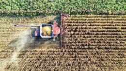 Osservatorio Agrofarma: “Italia modello di eccellenza per uso agrofarmaci”