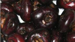 Castagne d’acqua, lo snack che protegge fegato e cervello: cosa sono e come si mangiano