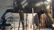 IL CAVALLO COLOSSALE DI ANTONIO CANOVA TORNA A RISPLENDERE DOPO OLTRE CINQUANT’ANNI