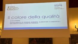 Olio, Inc: “Nuove evidenze scientifiche per preservare qualità evo in bottiglia”
