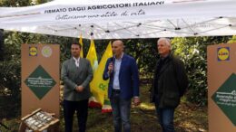 L’avocado siciliano conquista gli store Lidl Italia