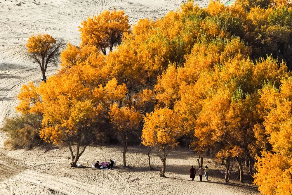 Cina, nello Xinjiang produzione di petrolio greggio supera 1,7 mln di tonnellate Cina, nello Xinjiang produzione di petrolio greggio supera 1,7 mln di tonnellate