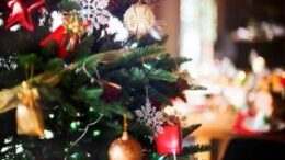 A Natale tra viaggi e visite ai parenti è boom furti in casa
