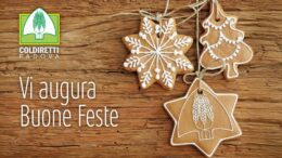 Natale 2025: auguri e informazioni utili
