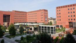 Università, Milano-Bicocca assume: 15 posti aperti tra risorse umane, ricerca e infrastrutture