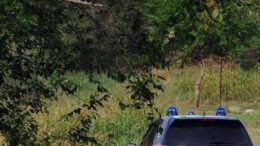 Spunta altro caso di famiglia nel bosco, bimbi allontanati dai genitori da un mese e mezzo