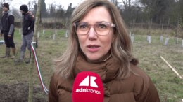 KilometroVerdeParma, piantato il 100.000° albero