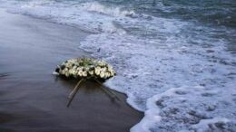 Migranti, Sea Watch: “116 morti in naufragio nel Mediterraneo centrale, solo uno tratto in salvo”