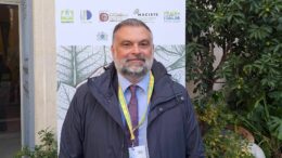 Tabacco, De Carlo (FdI): “Fronte comune sulla Pac in Parlamento a sostegno agricoltori”