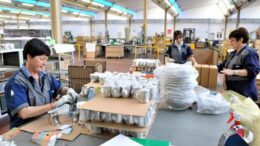 Lavoro, Istat: “In terzo trimestre cala disoccupazione al 6,1% ma tasso inattività sale al 33,3%”