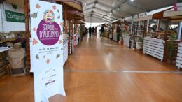 Sapori d’Autunno, il “bilancio” dell’edizione 2025