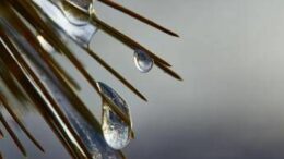 Freddo russo sfiora l’Italia, brindisi di Capodanno sottozero