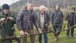 Territori BIO