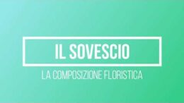 Territori BIO: la pratica del sovescio in vigneto biologico a cura del Biodistretto Colli Euganei