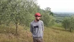 Territori BIO: video divulgativo olivicoltura biologica a cura del Biodistretto Colli Euganei