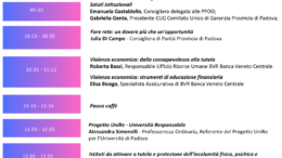 Violenza di genere e violenza economica: il CUG della Provincia di Padova promuove un incontro di confronto e rete – Venerdì 12 dicembre 2025 presso il Centro Direzionale La Cittadella – Padova