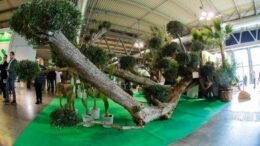 Myplant&Garden, X edizione dal 18 al 20 febbraio 2026 a Fiera Milano Rho