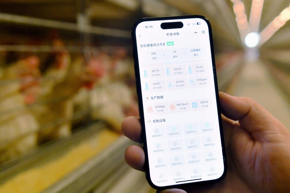 La Cina crea un sistema di registrazione per i diritti di proprietà dei dati La Cina crea un sistema di registrazione per i diritti di proprietà dei dati