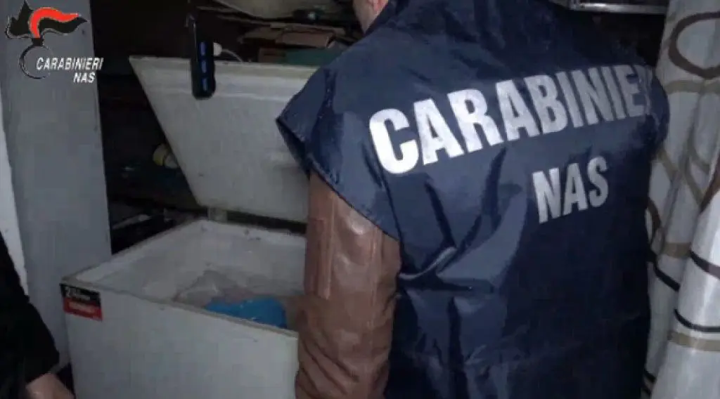 Macellazione clandestina a Salerno, sequestrati 6 quintali di carni Macellazione clandestina a Salerno, sequestrati 6 quintali di carni