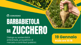 UN CONVEGNO SULLA BARBABIETOLA DA ZUCCHERO.   