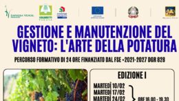 Corso gestione e manutenzione del vigneto: l’arte della potatura