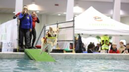 Torna Quattrozampeinfiera, a Padova Hall la due giorni dedicata agli animali domestici