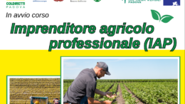 Al via il corso per la qualifica di Imprenditore Agricolo Professionale, iscrizioni entro il 7 gennaio