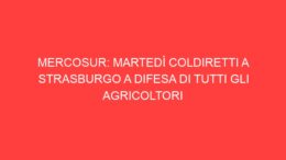 MERCOSUR: MARTEDÌ COLDIRETTI A STRASBURGO A DIFESA DI TUTTI GLI AGRICOLTORI 