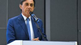Il ruolo delle Province (commento)