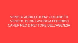 VENETO AGRICOLTURA: COLDIRETTI VENETO, BUON LAVORO A FEDERICO CANER NEO DIRETTORE DELL’AGENZIA