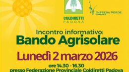 Bando Agrisolare: appuntamento a Padova il 2 marzo per approfondire le nuove opportunità