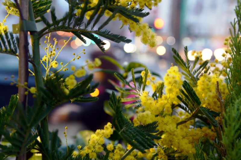 8 marzo, su Tivusat una maratona di musica al femminile da tutto il mondo 8 marzo, su Tivusat una maratona di musica al femminile da tutto il mondo