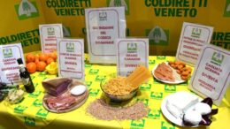 COLDIRETTI SCRIVE A TUTTI I SINDACI TREVIGIANI: PER DIFENDERE I NOSTRI CONFINI, PER DIFENDERE LE NOSTRE PRODUZIONI AGRICOLE, PER DIFENDERE I NOSTRI CONSUMATORI!