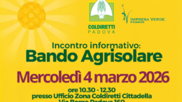 Bando Agrisolare: incontro tecnico per le aziende dell’Alta Padovana il 4 marzo a Cittadella