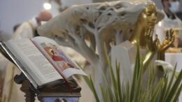 Rito di elezione per 24 catecumeni della Diocesi