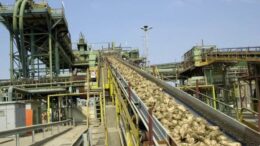 FILIERA BIETICOLO-SACCARIFERA A RISCHIO ESTINZIONE. COLDIRETTI ANNUNCIA MOBILITAZIONI E CHIEDE IL SOSTEGNO DELLA REGIONE