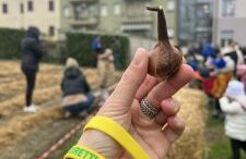 “IL FUTURO NELLE VOSTRE MANI” L’EVENTO CHE HA TRASFORMATO L’IPSAA BELLINI IN UN CANTIERE DI NATURA E CRESCITA. Studenti e bambini insieme per creare una nuova area verde a Trecenta