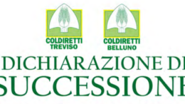 DICHIARAZIONI DI SUCCESSIONE: ECCO COSA SI DEVE SAPERE