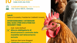 COLDIRETTI VENEZIA: CONVEGNO INFORMATIVO SULLA SICUREZZA NEGLI ALLEVAMENTI DI BASSA CORTE