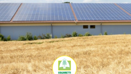 Bando Agrisolare: dal 10 marzo le domande per i contributi ai nuovi progetti