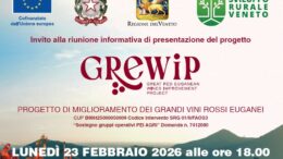 Progetto GREWIP: al via l’iniziativa per il rilancio dei grandi vini rossi euganei, il 23 febbraio primo incontro