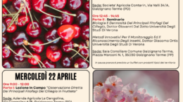 CherryTech: al via le azioni dimostrative per una ciliegicoltura innovativa e sostenibile